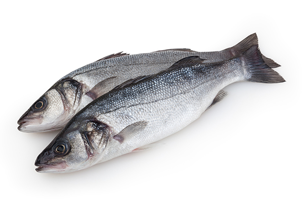 Branzino con mandorle e pistacchi